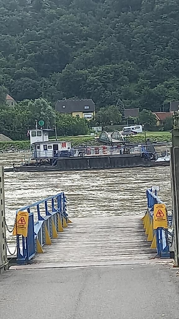 Donau (100)